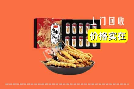 临沂郯城县回收冬虫夏草