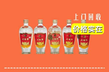 临沂郯城县回收老五粮液